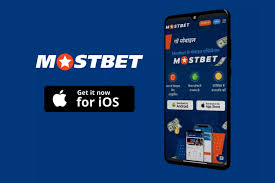 Mostbet -- O'zbekistonda bukmekerlik biznesi